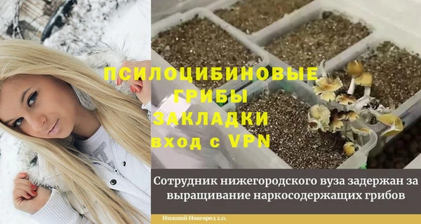 гидра Михайлов