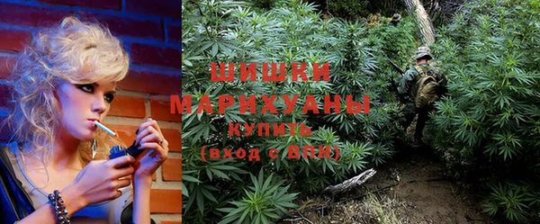 бошки Мегион